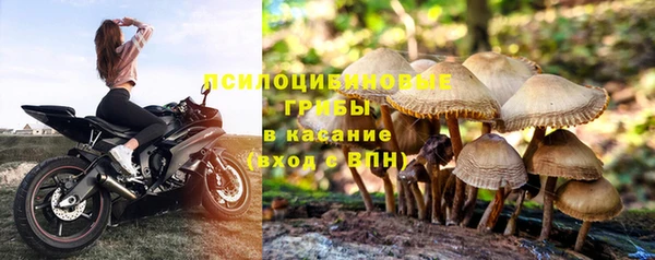 марки nbome Алексеевка