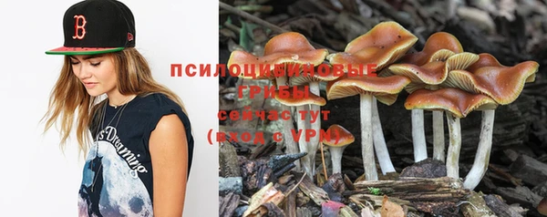 марки nbome Алексеевка
