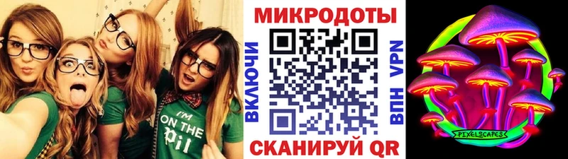 Псилоцибиновые грибы Psilocybe  наркота  Малаховка 
